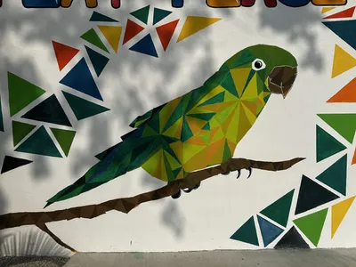 Inclusive Playground at Hope of Life – Zacapa, Guatemala — photo 1