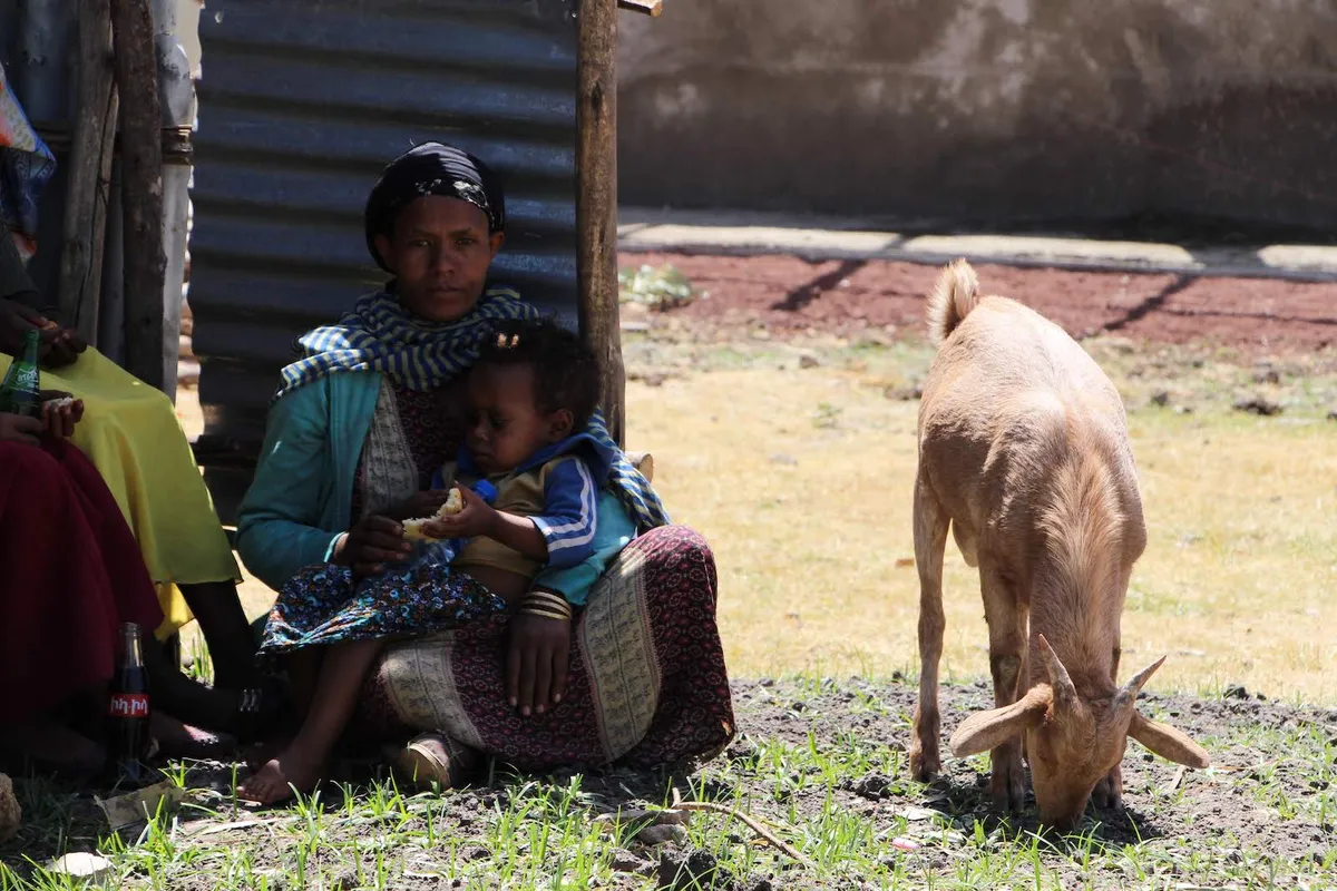 COVID-19 Response – Ethiopia